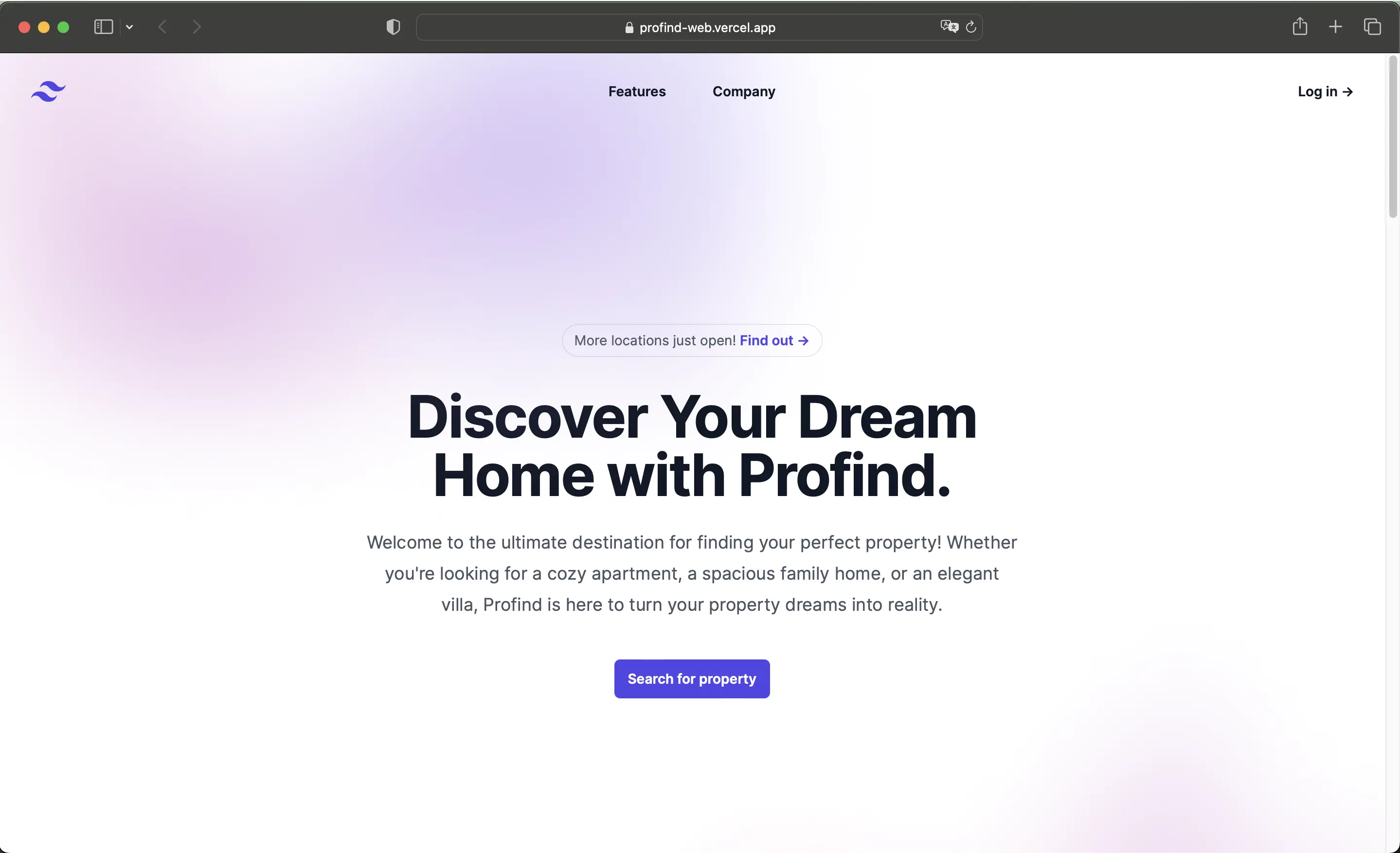 Hero Section Profind Web